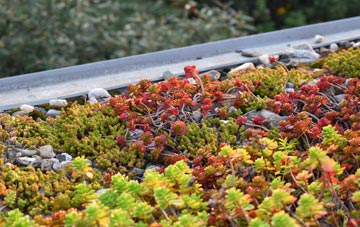 the cost of Hoober green roof installation