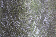 Hoober fibreglass roof work